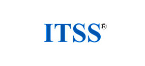中国电子工业标准化技术协会 ITSS分会